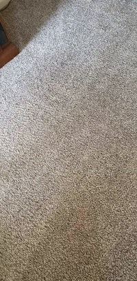 a room with a carpet that has been cleaned